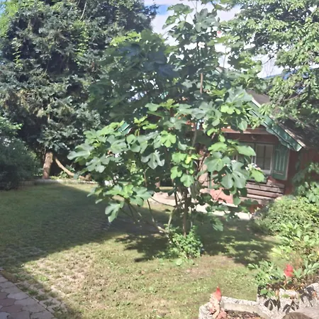 Dom wakacyjny Ganzes Haus Mit Almcharakter Lieserbrücke